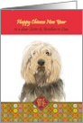 Chinese New Year of the Dog for Sister and Brother in Law Smiling Dog card