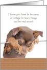 Thinking Of You Away At College Missing You From Pet Dog card