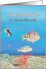 Nowruz for Brother in Law Colorful Fish Swimming Among Coral Beds card
