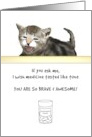 Pediatric Cancer Feel Better Kitten Asking about Tuna Flavor Medicine card