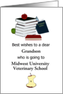 Books and Apples Going to University Veterinary School Custom card