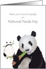 National Panda Day Pandas Feasting on Bamboo card