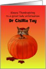 Thanksgiving for Lady Veterinarian Cat Napping Against Pumpkin card