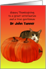 Thanksgiving for Male Veterinarian Cat Standing Behind Pumpkin card