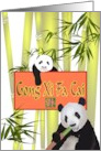 Chinese New Year Cute Pandas in Bamboo Grove card