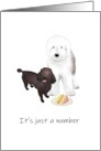 English Sheepdog Poodle and Slice of Cake Birthday card