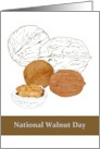 National Walnut Day Just Nuts card