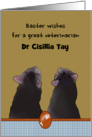 Easter for Veterinarian Two Cats Looking Up at Greeting Custom card