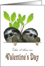 Sloth Couple Valentine’s Day for Daughter and Boyfriend Take It Slow card