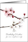 Birthday for Niece in Law Pretty Pink and White Blossoms on Branches card