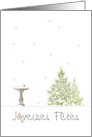 Joyeuses Fetes Happy Holidays Christmas Birdbath in The Snow French card