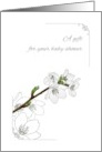 Baby Shower Gift Beautiful Blossoms Colored and in Profile card