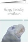 Birthday for Wife Manatee Blowing Heart Shaped Bubbles card