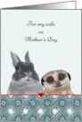 For Wife on Mother’s Day Rabbit and Meerkat card