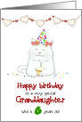 Granddaughter Birthday Cute Cat with Cupcake Custom Age card