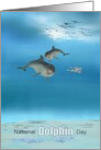 National Dolphin Day Dolphins in the Ocean card