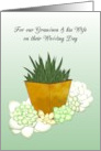 Grandson and Wife on Wedding Day Succulent Plants card
