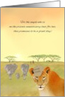 Wedding Anniversary African Safari Wildlife Tour Humor card