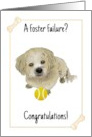 Congratulations on a Foster Failure Dog and Ball card