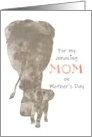 For Amazing Mom on Mother’s Day Mommy Elephant and Her Calf card