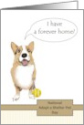 National Adopt a Shelter Pet Day Dog has New Forever Home card