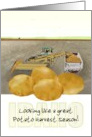 Potato Harvest Season in Idaho Harvesting and Gathering in the Fields card