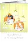 Images Of Therapists And Patients On Glass Baubles Christmas card
