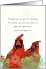 Snowflakes Drifting Down onto Cute Red Cardinal Birds Christmas card