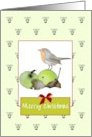 Christmas Robin Perched on an Apple card