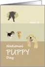 National Puppy Day Cute Puppies card