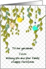 Christmas for Gardener Ornaments and Trailing Foliage Custom card