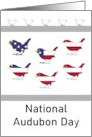National Audubon Day Birds in Colors of the American Flag card