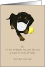 Coronavirus Stay Home Cute Dog with Mask Children’s Birthday card