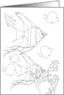 Thinking of You Fish and Coral Coloring card