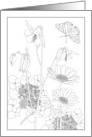 Thinking of You Florals and Butterfly Coloring card