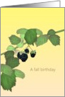 Fall Birthday Drawing of Blackberries and Foliage card