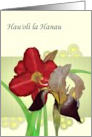 Hau’oli la Hanau Birthday in Hawaiian Lily and Iris Blooms card