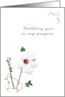 Holding You in my Prayers Loss of Father in Law Hibiscus Bloom card