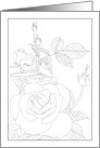 Thinking of You Rose Bloom and Buds Coloring card
