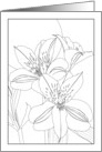 Thinking of You Alstroemeria and Foliage Coloring card