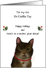 Happy Holidays Cat to Vet Request Online Consultation Christmas Custom card
