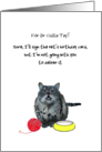 Custom Veterinarian’s Birthday Cat Signing Card Refuses to Deliver It card