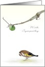 Sympathy Sketch of European Goldfinch Apple on Overhead Branch card