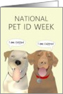 National Pet ID Week Two Dogs Tagged and Chipped card