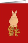 Chinese New Year of the Rabbit Profile of a Rabbit card