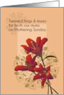 From Twins to Both Mums Mothering Sunday Stargazer Blooms card