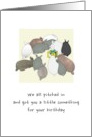 Birthday from All of Us Colony of Rabbits Huddled round Present card