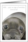 Seal Looking Intently at You for Signs of Wrinkles Birthday card