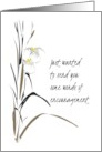 Words of Encouragement for Ex Daughter in Law Sketch of Orchids card