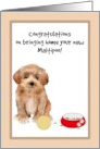 Congratulations Bringing Home New Maltipoo Puppy card
